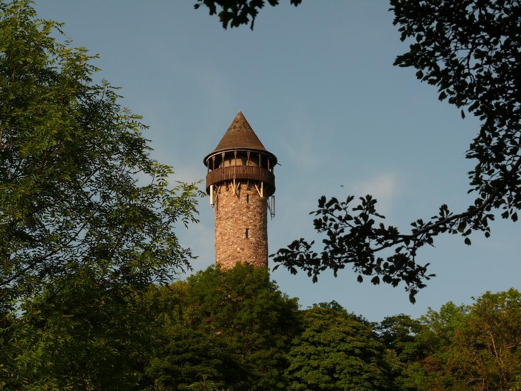Haus Kolmesfeld Διαμέρισμα Sensweiler Εξωτερικό φωτογραφία